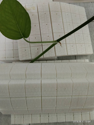 PET泡沫